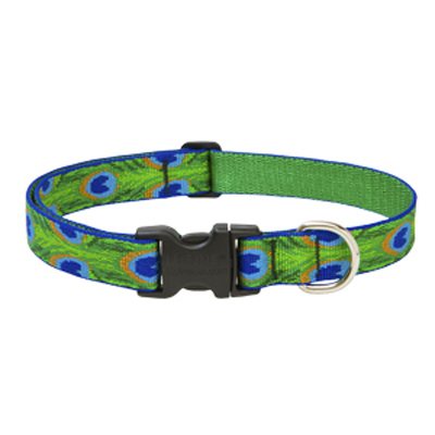 1x16-28 TF Dog Collar