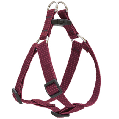 3/4x15-21 BERR Harness