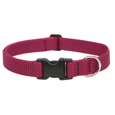 1/2x20 BERR Dog Collar