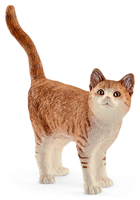 BRN/WHT Cat