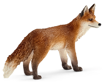 RED Fox