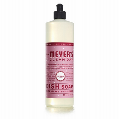 16OZ Peppermi Dish Soap