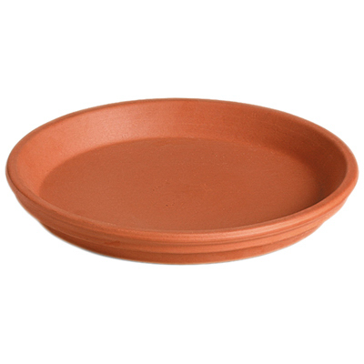 5" TC Saucer