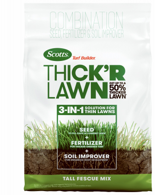 40LB TB Fescue Seed