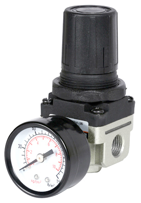 MM 1/4" Regulator/Gauge