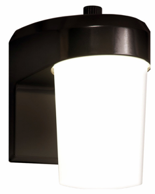 BRZ Entry/Patio Light