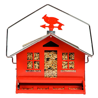 CountryWild Bird Feeder