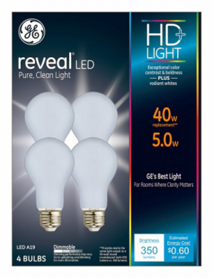 GE4PK 5W WHT A19 Bulb
