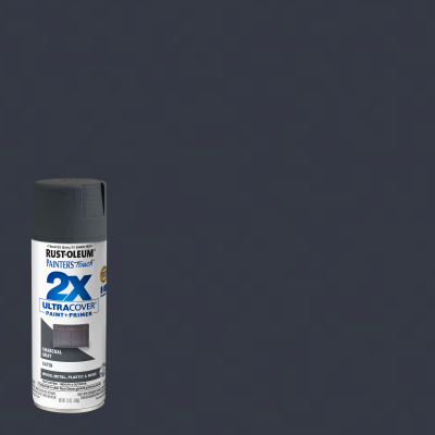 PT2X 12OZ GRY Sat Spray
