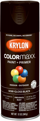 12OZ BLK SG Paint