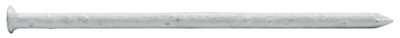 1/4LB WHT Trim Nails