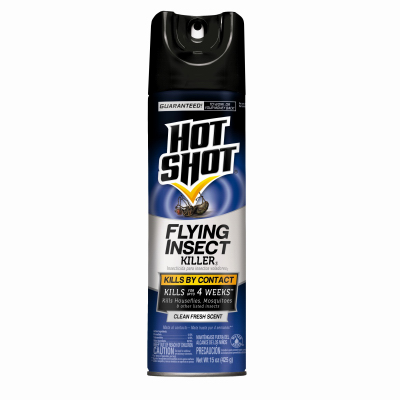 17.5OZ Ant/Roach Killer