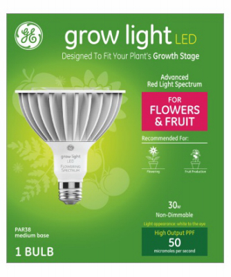 GE 32W WHT Par38 Lamp