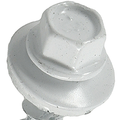 250PC 10x1 WHT WB Screw
