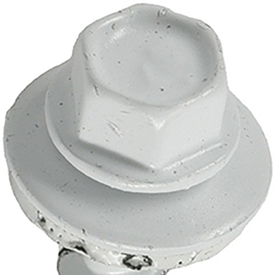 250PC 10x1.5 WHT Screw