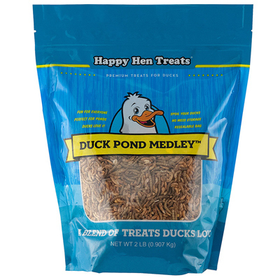 2LB Duck Pond Medley