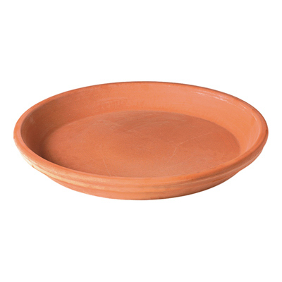 6" WHT Clay Saucer