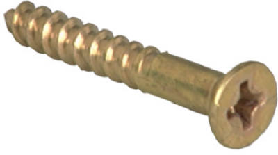 100PK 6x1 FH WD Screw