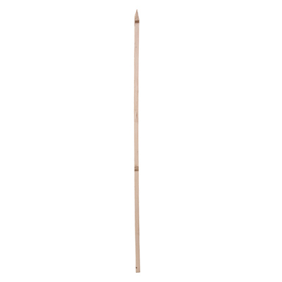 GT 5' WD Stake