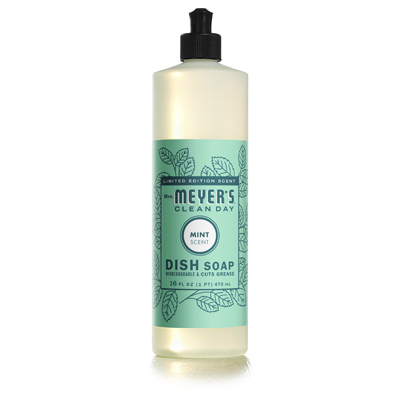 16OZ Mint Dish Soap