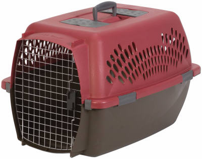 Pet Taxi Fashion
