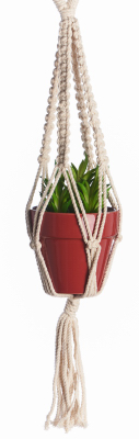 17" ZZ Mini Woven Hang