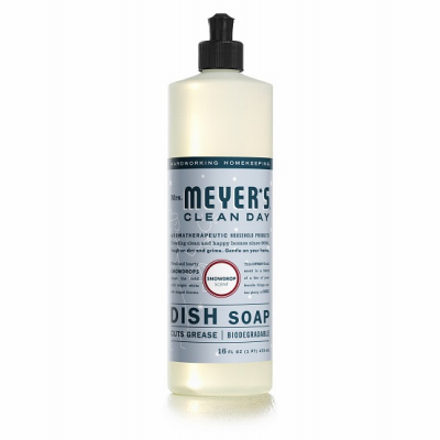 16OZ Snow Dish Soap