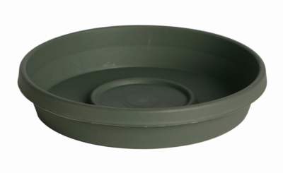 10" L GRN Terra Saucer