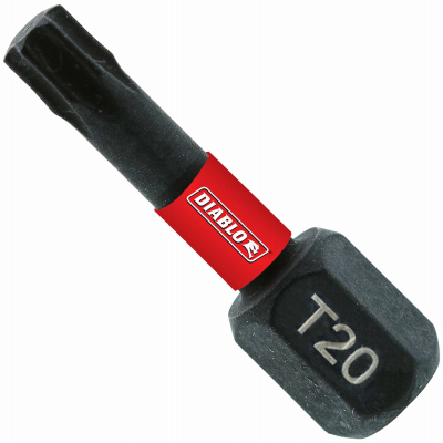 25PK 1'' #20 Torx Bit