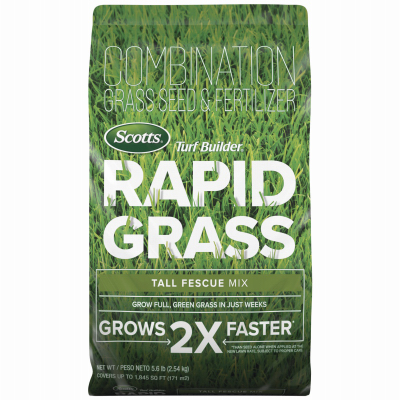 TB 16LB Rapid Fesc Seed