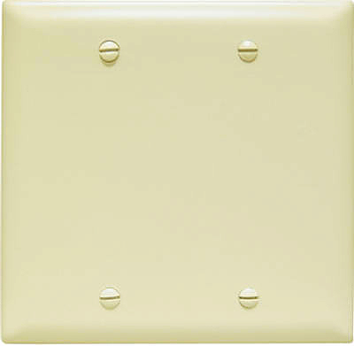 IVY 2G BLNK Nyl Plate