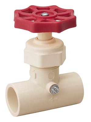1/2 CPVC S&W Valve