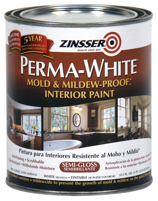 QT WHT SG Mold Paint