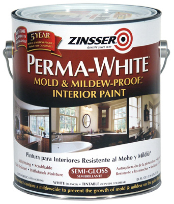 GAL WHT SG Mold Paint