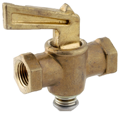 1/8" FPT PT Valve
