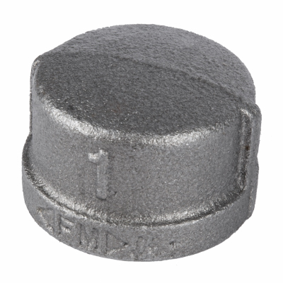 1" BLK Pipe Cap