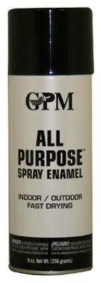 9OZ GLS BLK Spray Paint