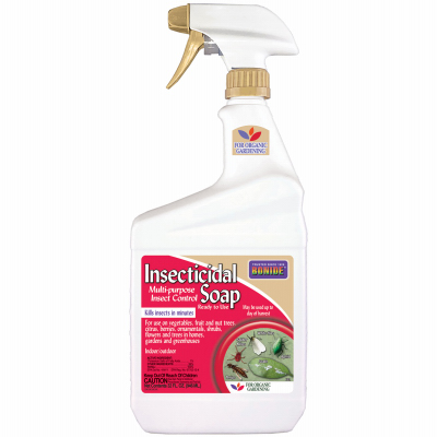 QT RTU Insect Soap