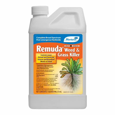 QT Conc Remuda