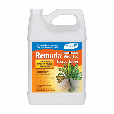 GAL Conc Remuda
