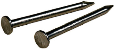 2OZ 7/8x17 SS Nail