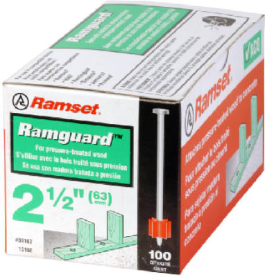 100PK.300x2-1/2 Ram Pin