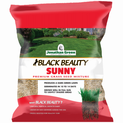 BB 7LB Sun Grass Seed