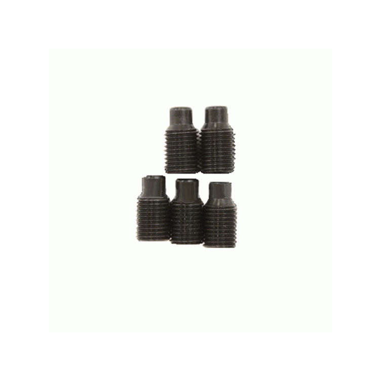Pack of 5 Heavy-Duty Fastening Screws for Secure Repairs