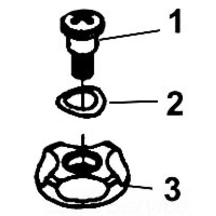 Pack of 2 Heavy-Duty Fastening Screws for Secure Assembly