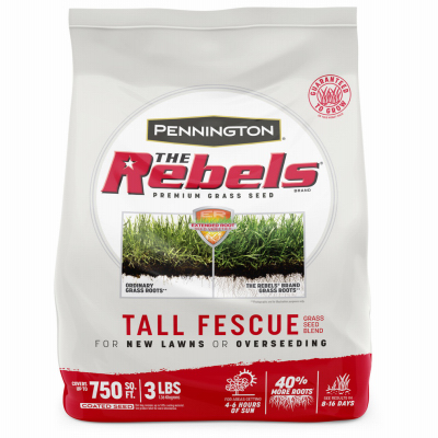 3LB Rebel Fescue Seed