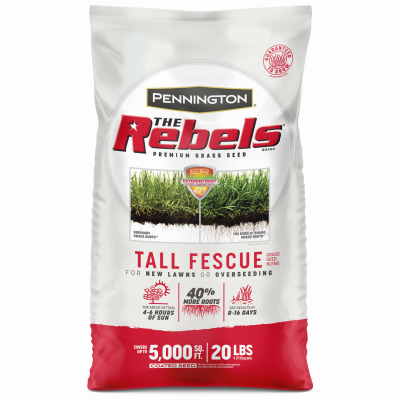 20LB Rebel Fescue Seed