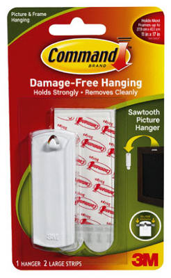 Saw Tooth Pic Hanger