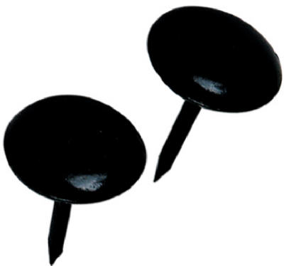 25PK BLK Uphol Nail