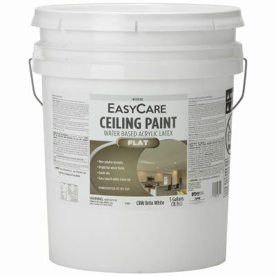 SR 5GAL WHT Ceil Paint